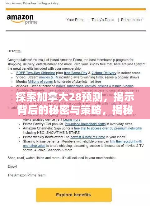 探索加拿大28预测，揭示背后的秘密与策略，揭秘加拿大28预测背后的秘密与策略探索