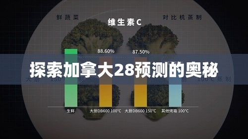 探索加拿大28预测的奥秘