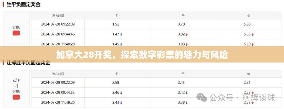 加拿大28开奖，探索数字彩票的魅力与风险