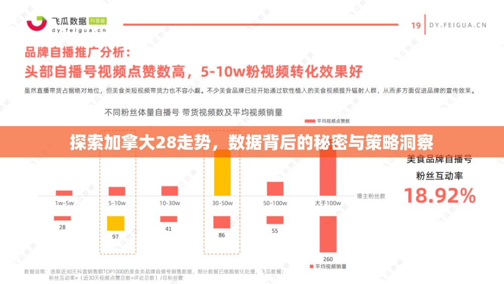 探索加拿大28走势，数据背后的秘密与策略洞察