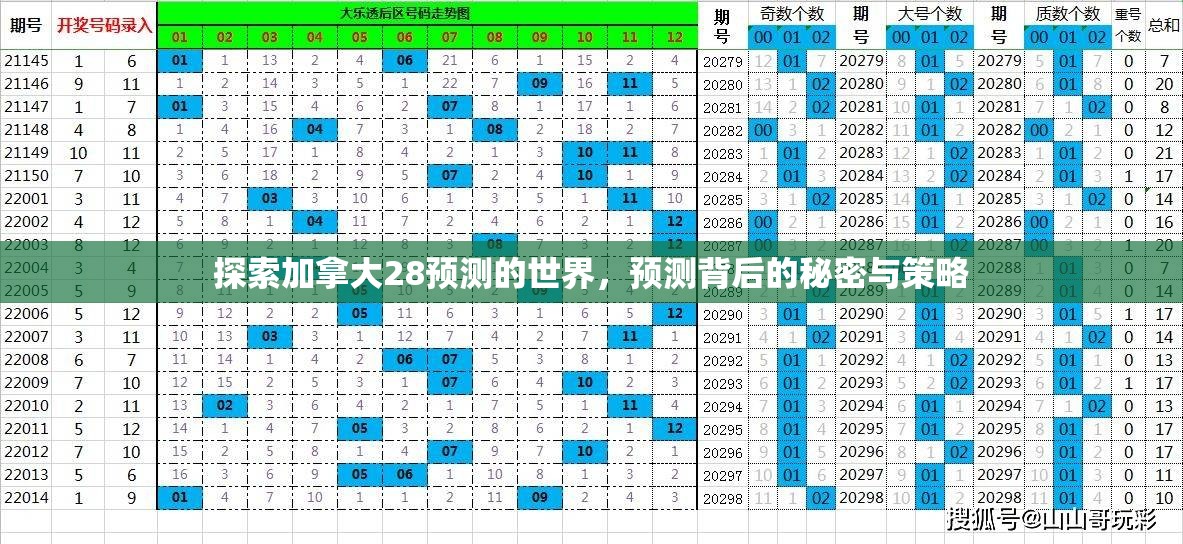 探索加拿大28预测的世界，预测背后的秘密与策略