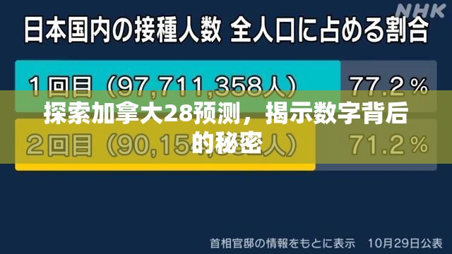 探索加拿大28预测，揭示数字背后的秘密