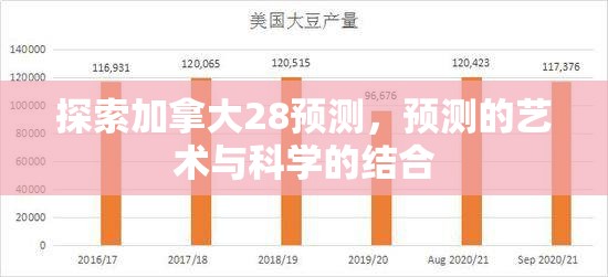 探索加拿大28预测，预测的艺术与科学的结合
