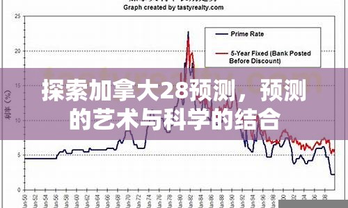 探索加拿大28预测，预测的艺术与科学的结合