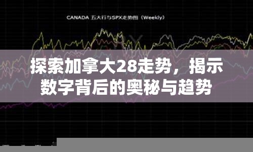 探索加拿大28走势，揭示数字背后的奥秘与趋势