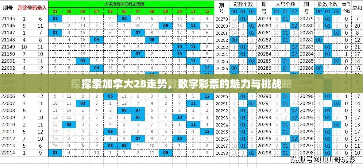 探索加拿大28走势，数字彩票的魅力与挑战