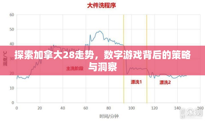 探索加拿大28走势，数字游戏背后的策略与洞察