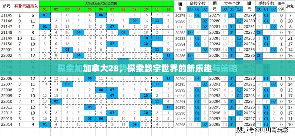 加拿大28，探索数字世界的新乐趣