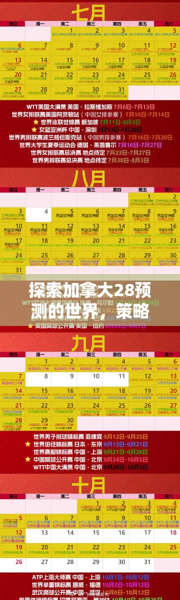 探索加拿大28预测的世界，策略、技巧与未来展望