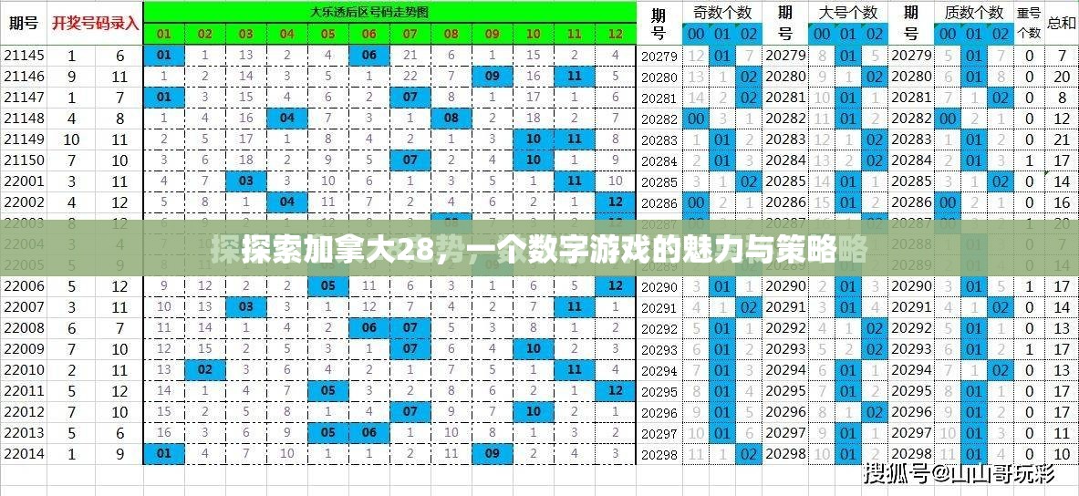 探索加拿大28，一个数字游戏的魅力与策略