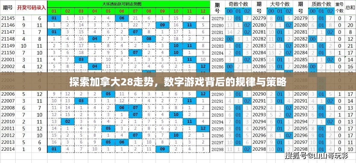 探索加拿大28走势，数字游戏背后的规律与策略