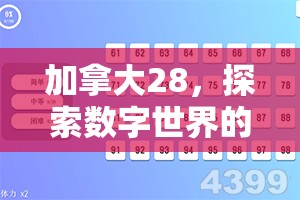 加拿大28，探索数字世界的全新魅力