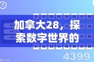 加拿大28，探索数字世界的魅力与机遇