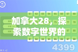 加拿大28，探索数字世界的无限魅力