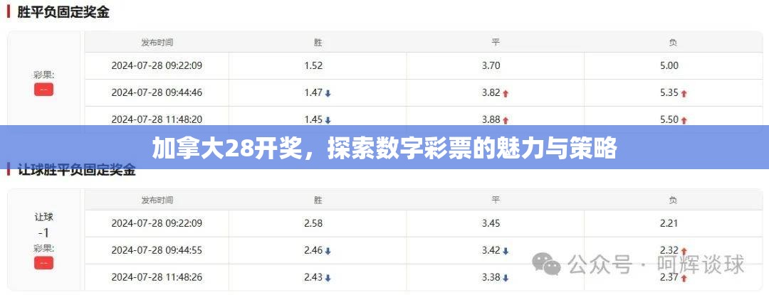 加拿大28开奖，探索数字彩票的魅力与策略