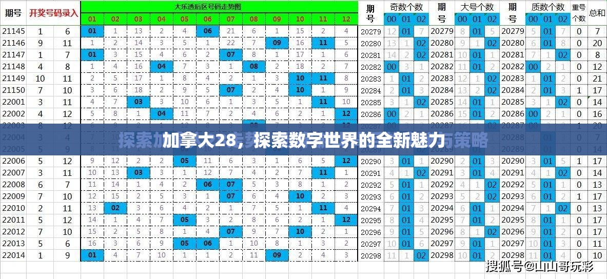 加拿大28，探索数字世界的全新魅力